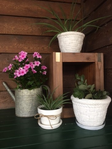 garden-pot-vignette
