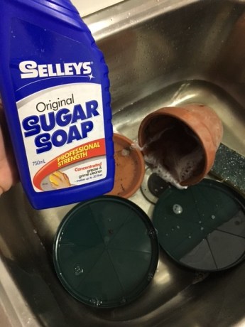 sugar-soap-garden-pot