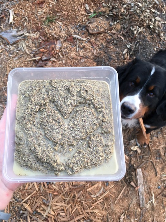 fermentation-chicken-feed