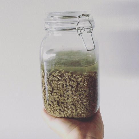 fermented-chicken-feed-day-one