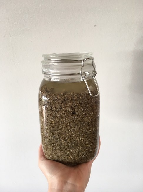 fermented-chicken-feed-day-two